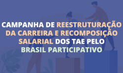 Brasil Participativo: vote na proposta de reestruturação da carreira e recomposição salarial dos TAE 2