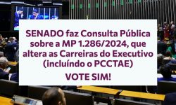 Senado cria Consulta Pública sobre a MP 1286/2024. Saiba como participar. 2