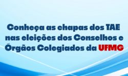 Conheça as chapas dos TAE nas eleições dos Conselhos e Órgãos Colegiados da UFMG 3